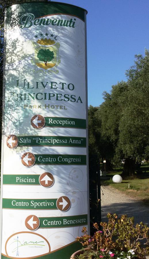 Uliveto Principessa Park Hotel Taurianova Kültér fotó